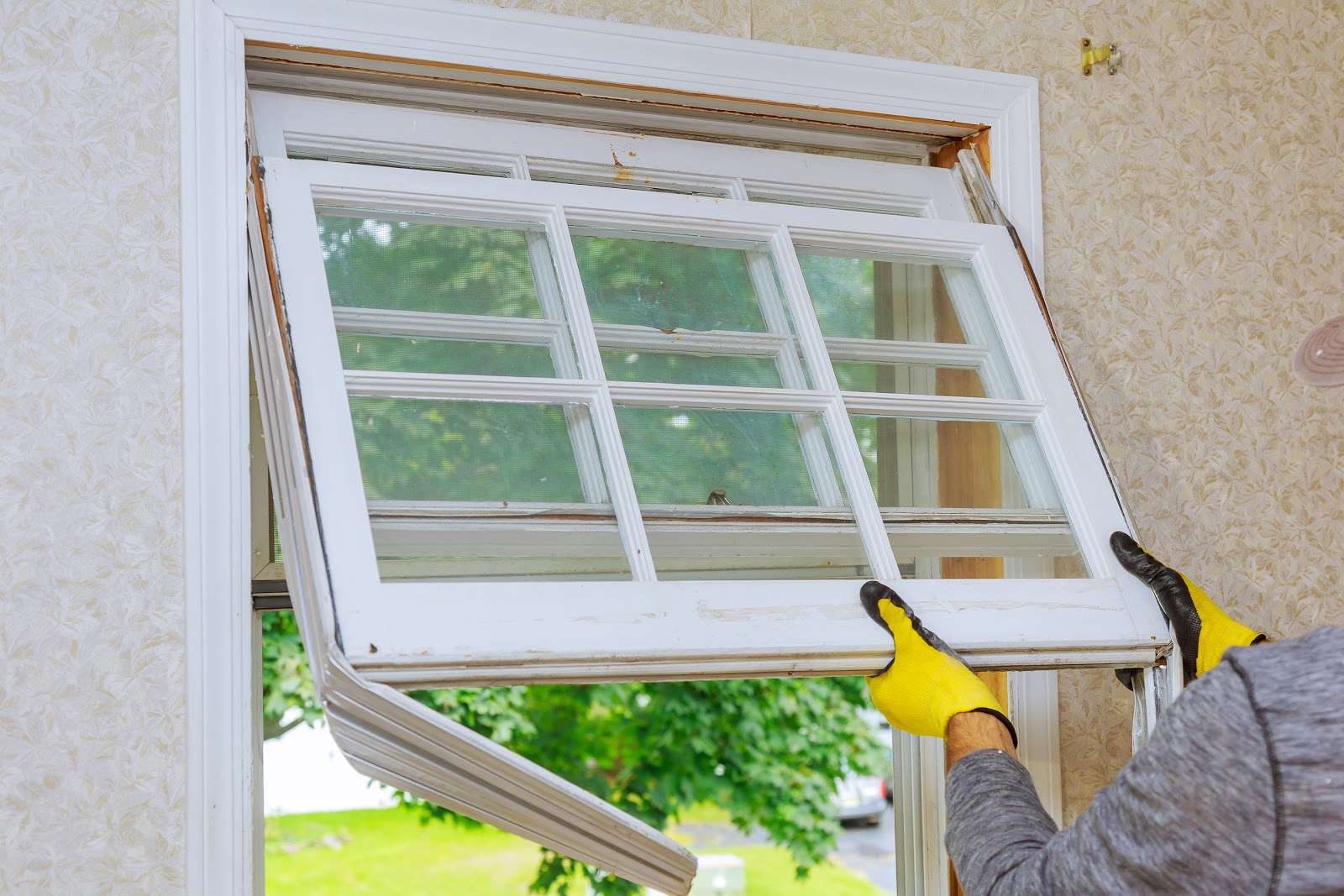 6 Signs You May Need Replacement Windows