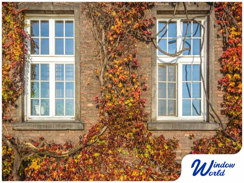 Why Replace Windows in the Fall?
