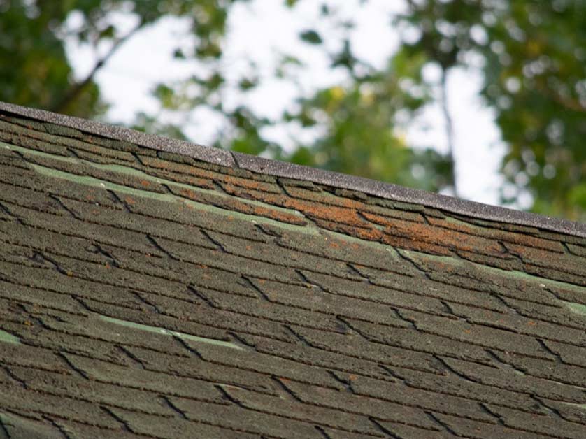 Subtle Indicators of Roof Damage You Shouldn’t Overlook